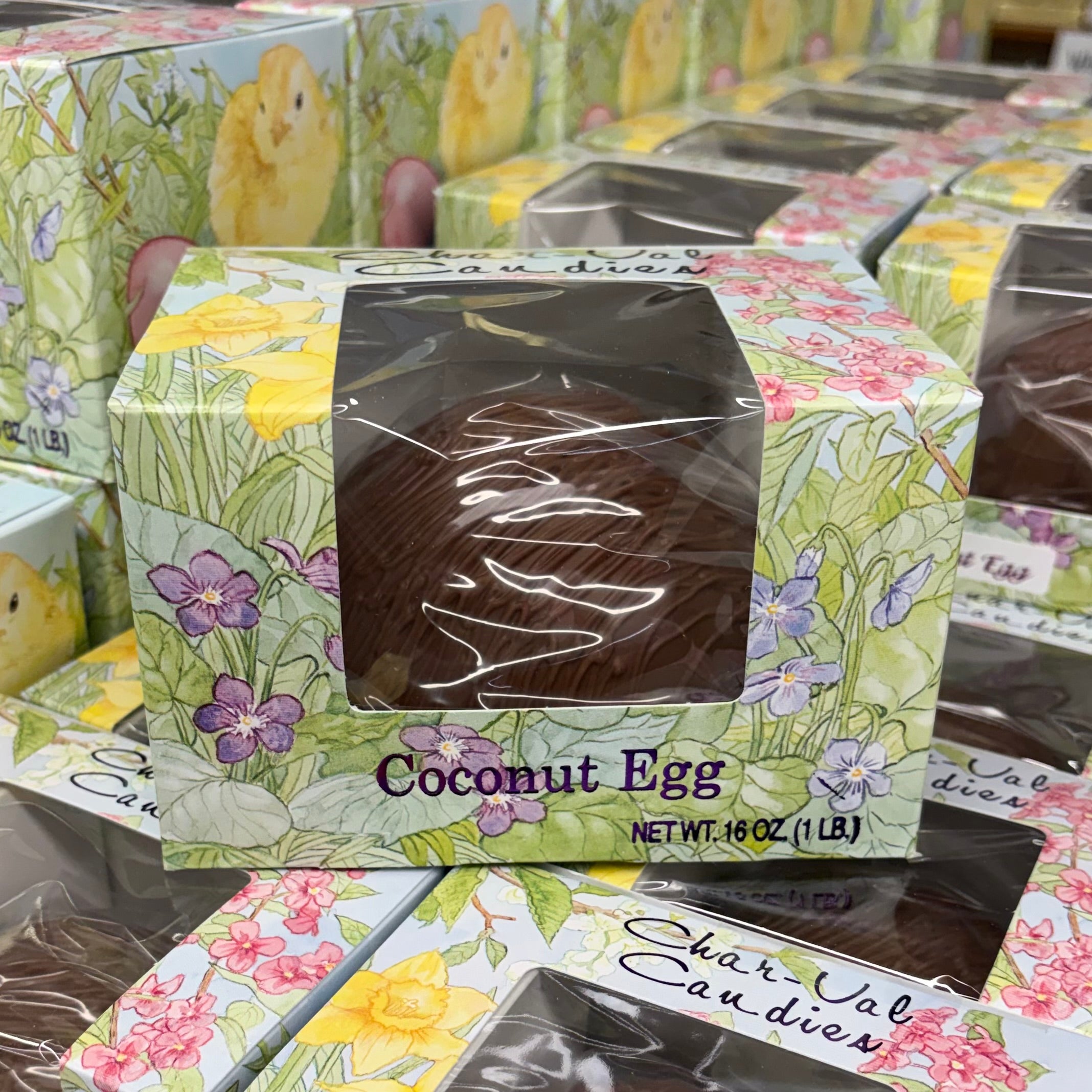 Coconut Egg