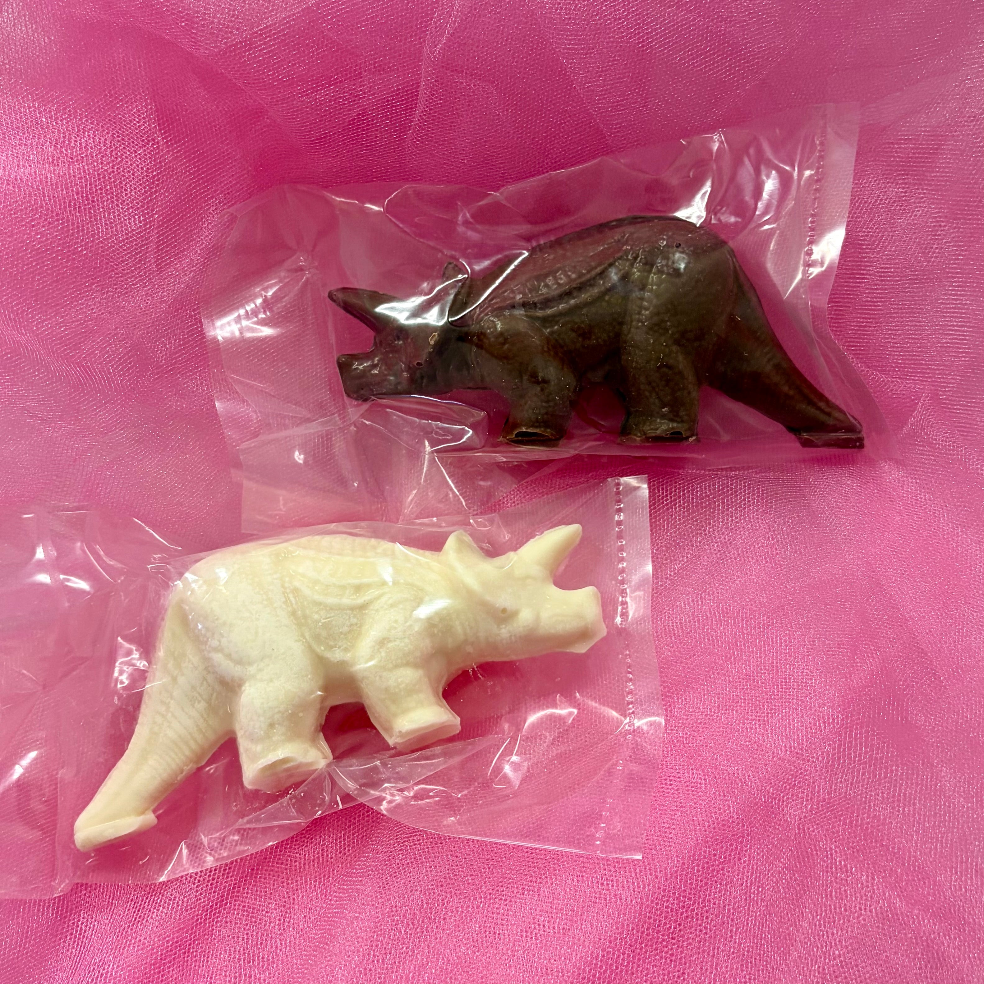 Triceratops Dinosaur (#17)